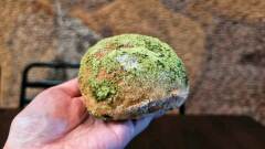 愛知のおみやげ あげパン　犬山煎茶