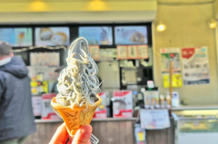 神奈川のおみやげ しらすソフト