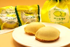 投稿写真 宇都宮駅 関東・栃木レモン　レモンケーキ