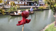 岡山のおみやげ おざきや　たこたまご